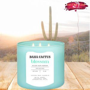 Baha Cactus Blossom 3 Wick Candle